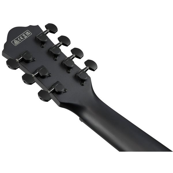 Ibanez AEG721-BOT