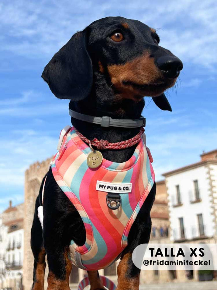 Arnês ajustável tipo pirulito