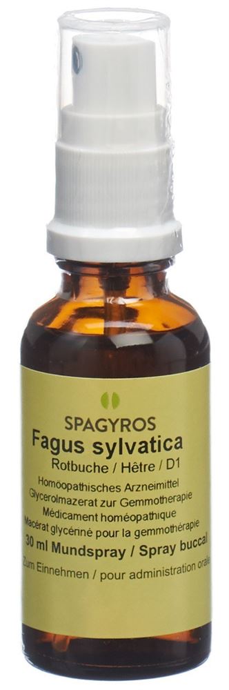 Spagyros Fagus sylvatica 1 D<br>30 ml, Glycerinmazerat