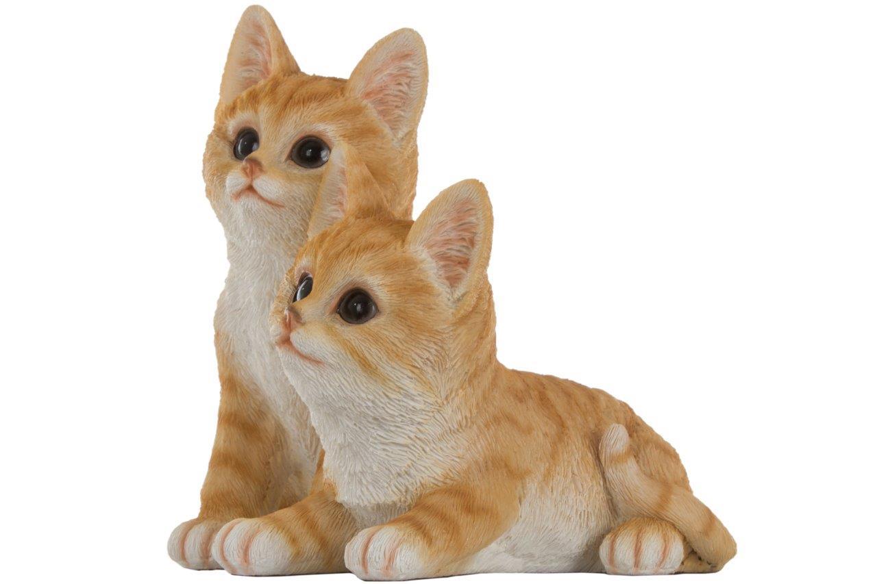 Katzenkinder - orange-weiß - 19 cm