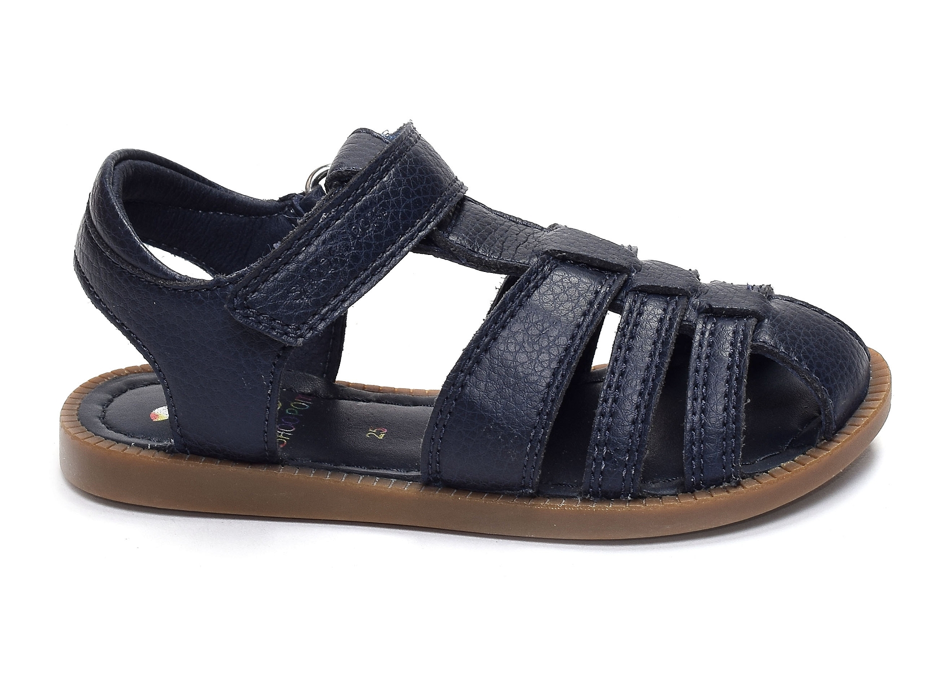 Solar tonton marine