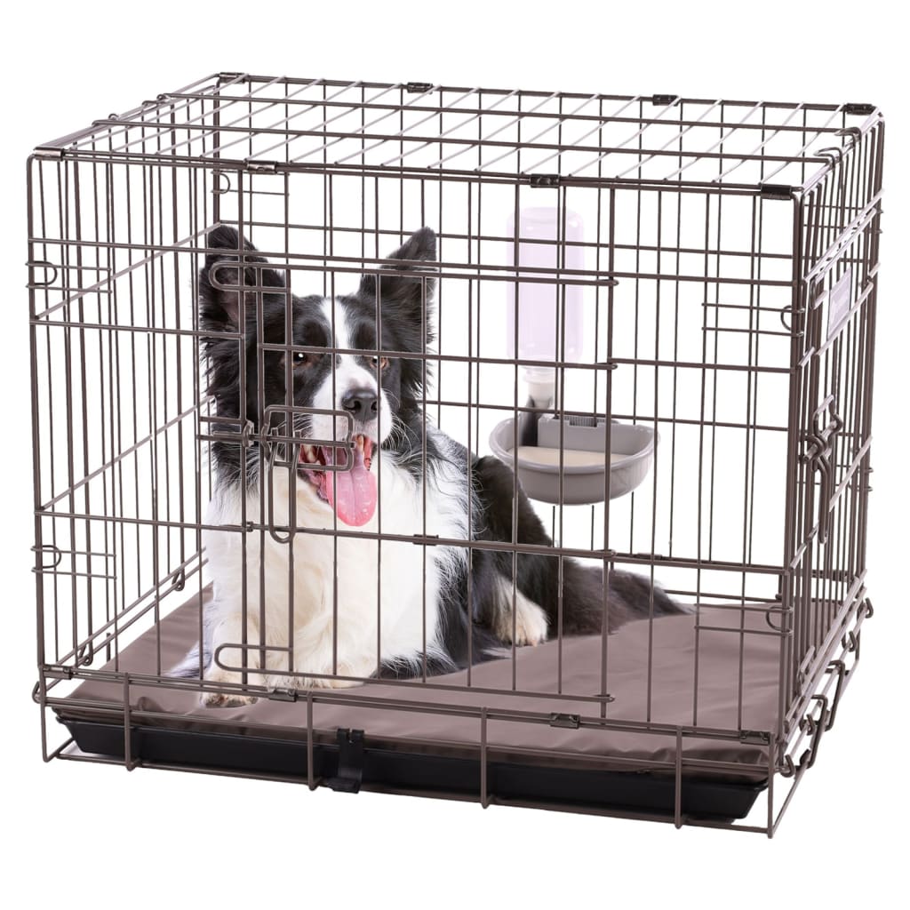 Bebedouro para cães