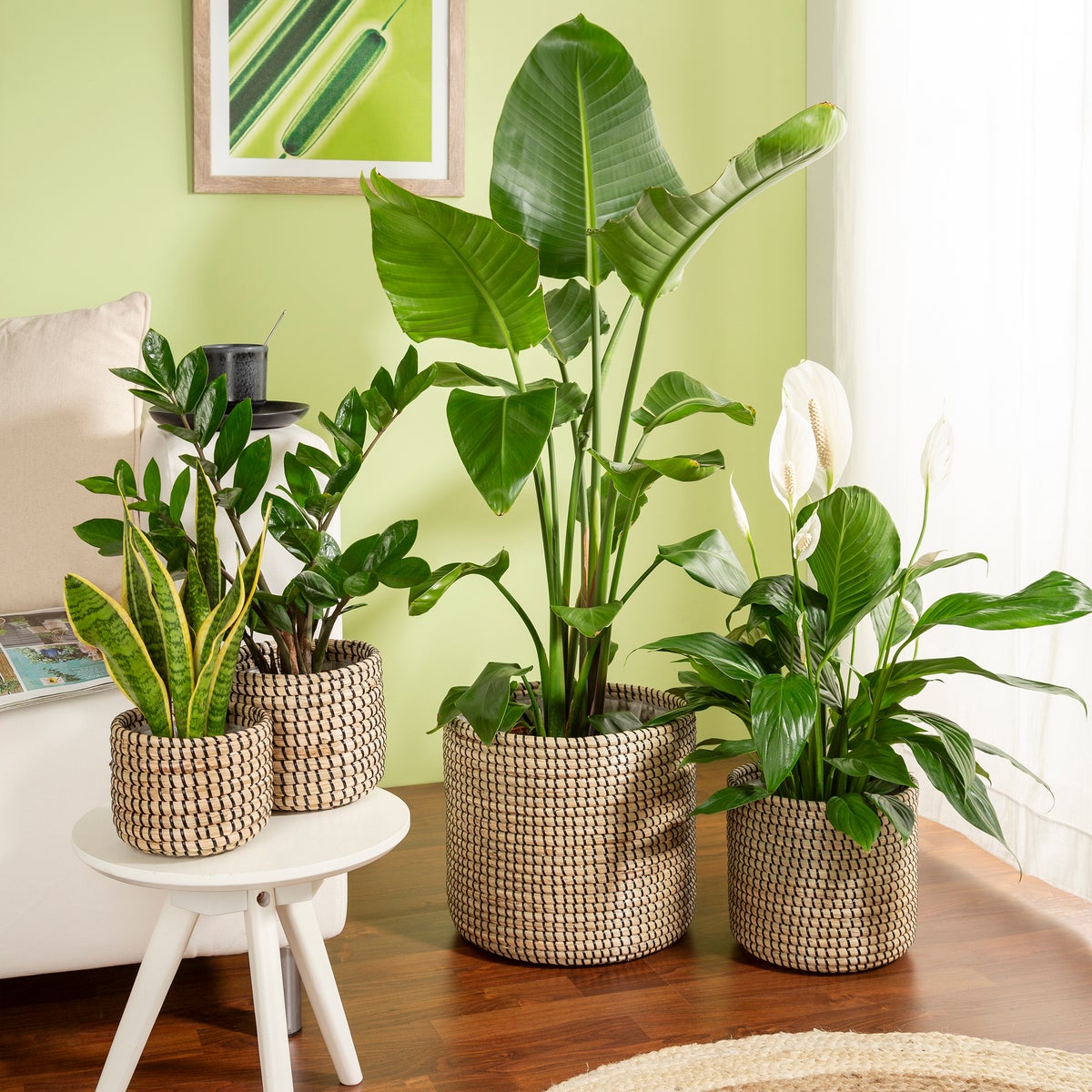 Scheurich Seagrass 24, plantenbak/mandpot van zeegras, kleur: zwart, 24 cm diameter, 22,5 cm hoog, 10,6 l inhoud.