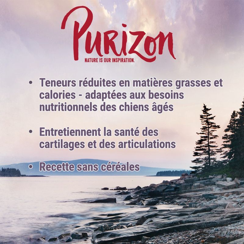 Purizon Senior poulet, poisson - sans céréales