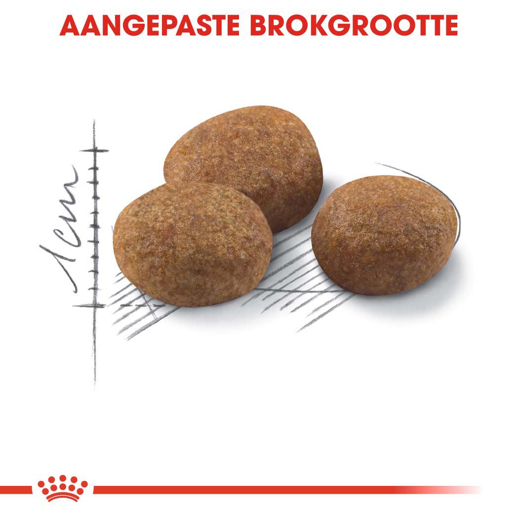 Royal Canin Sterilised  7 Regular - Kattenvoer - 10 Kilogram - Gevogelte
