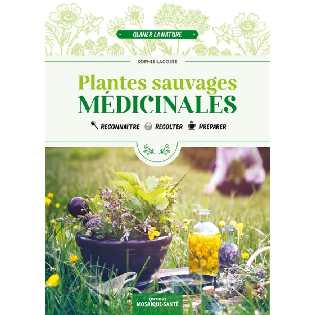 Plantes sauvages médicinales : reconnaître, récolter, préparer · Occasion