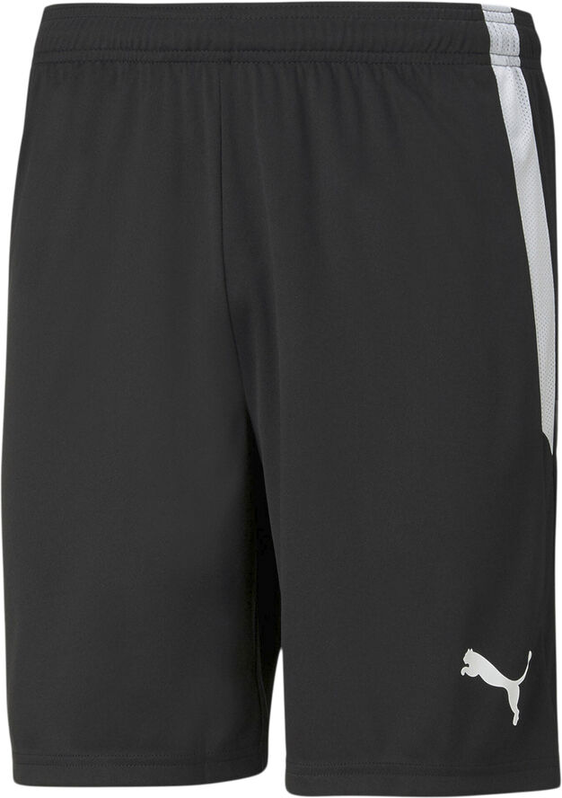 Puma Teamliga shorts Sort