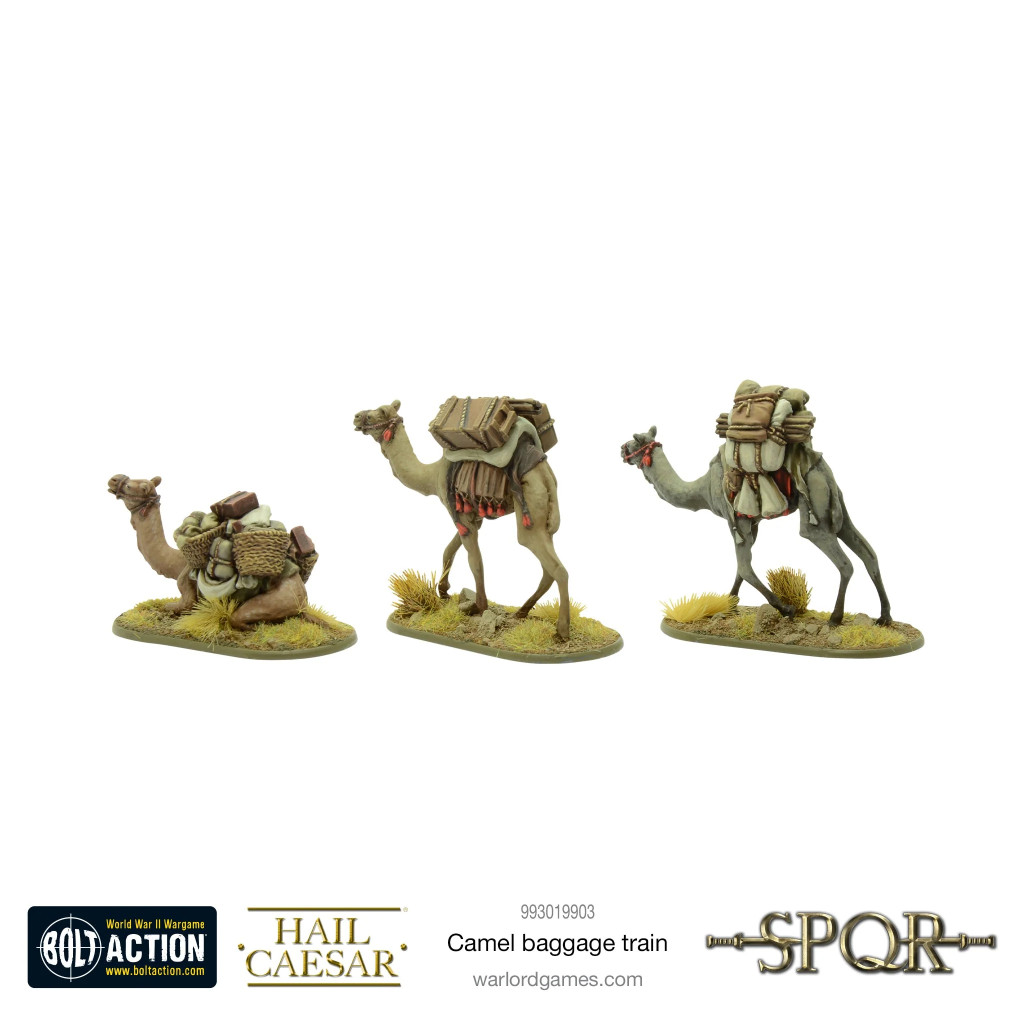 Camel Baggage Train