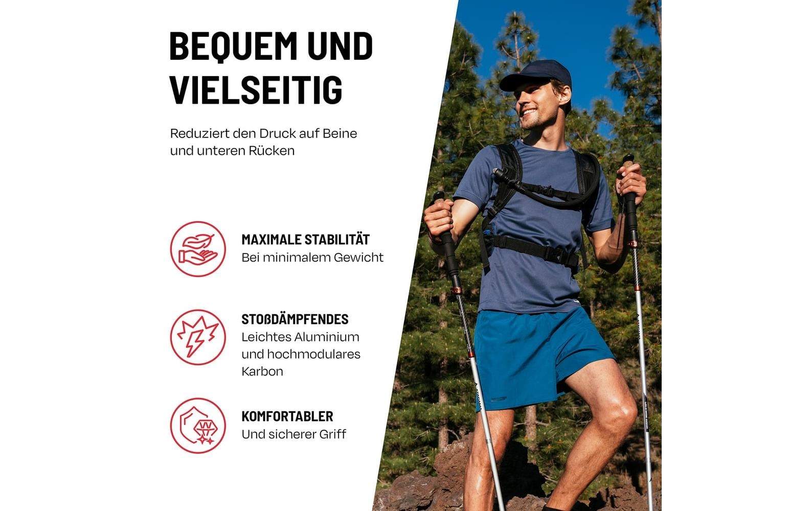 Wanderstöcke »Atacama Flip Lock 110-135 cm«