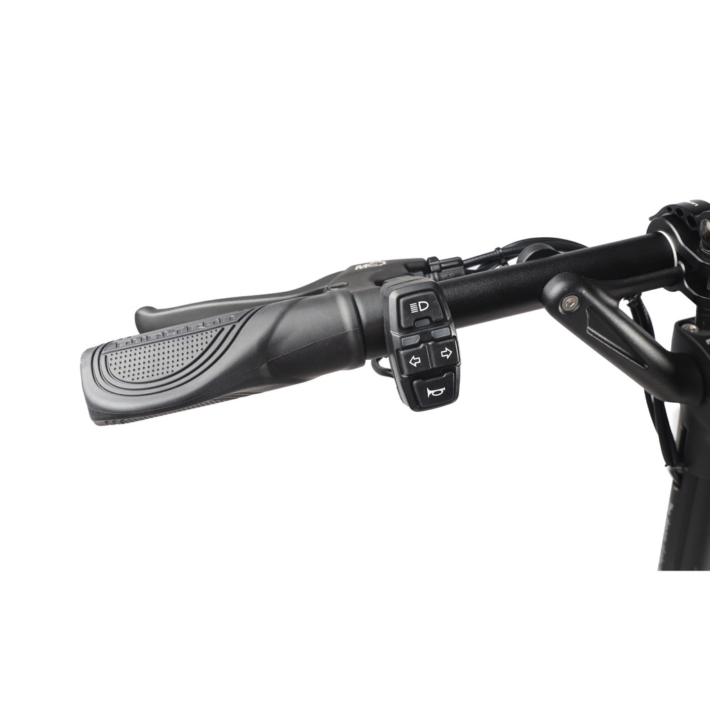 ELECTRIC SCOOTER DUALTRON AMINIA DUAL MOTOR 52V 15,6 Ah IPX5