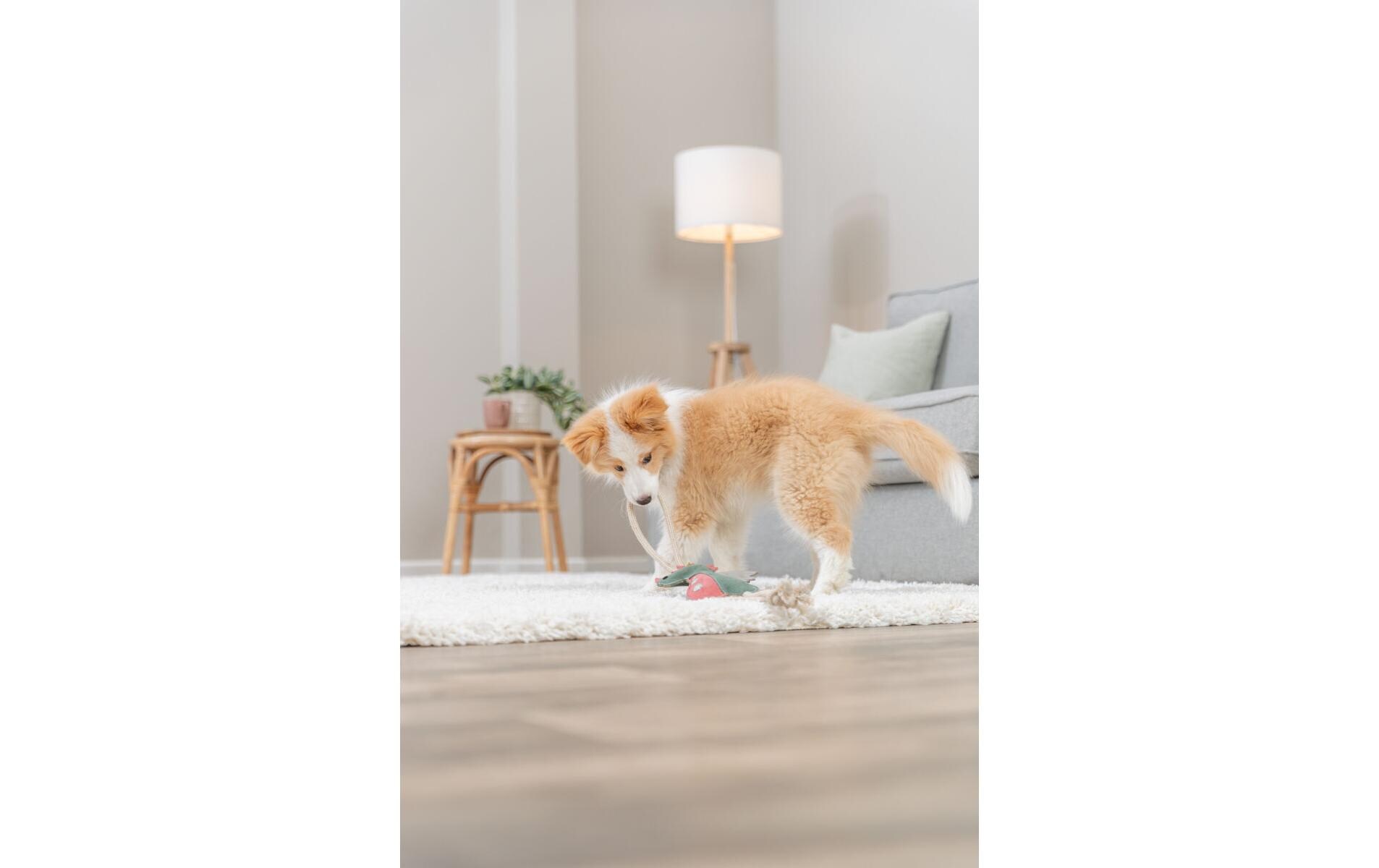 Hunde-Spielzeug Drache am Tau 55 cmLederspielzeug für Hunde