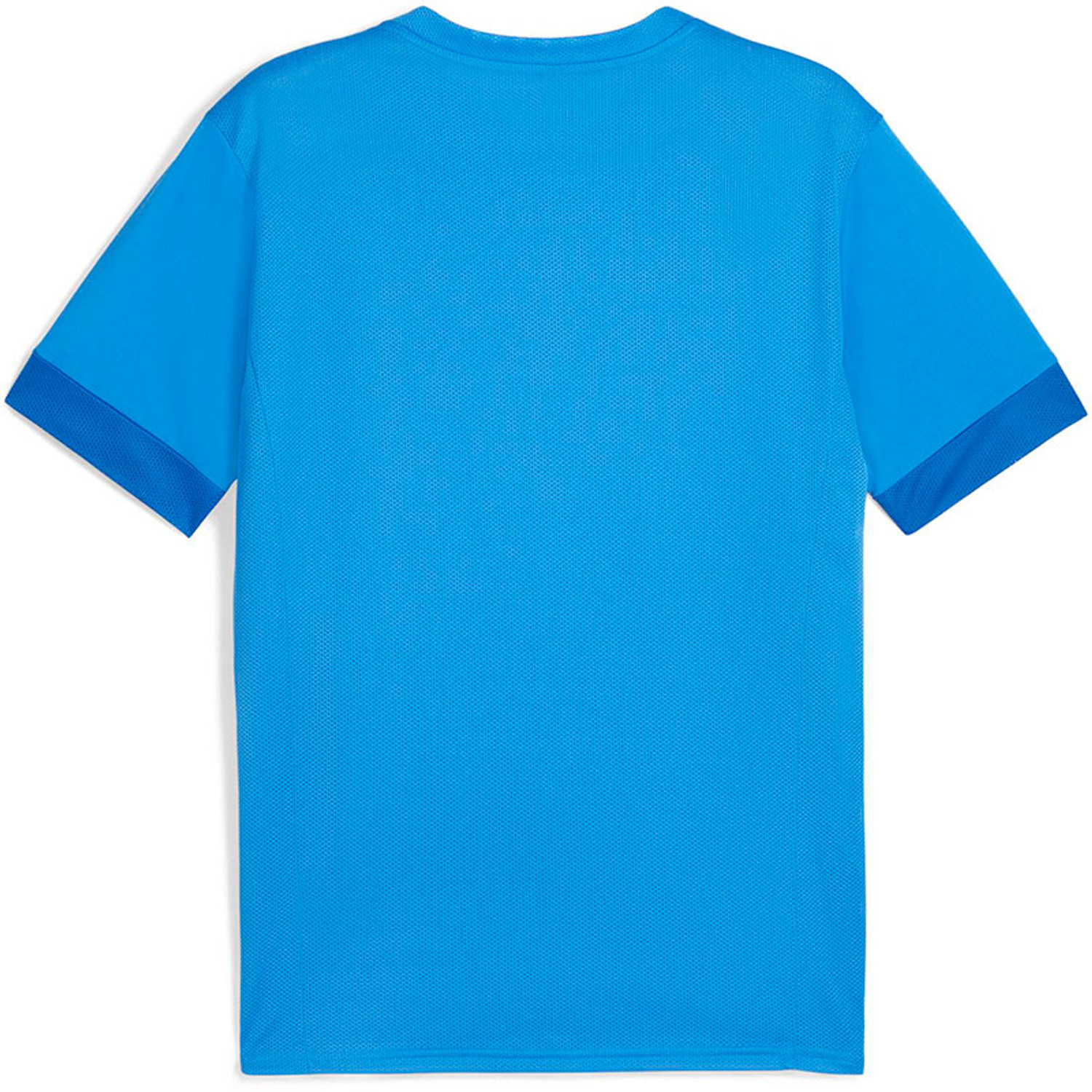 Puma GOAL Training Shirt