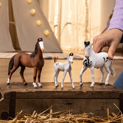 Schleich 14896 Horse Club Marwari Foal
