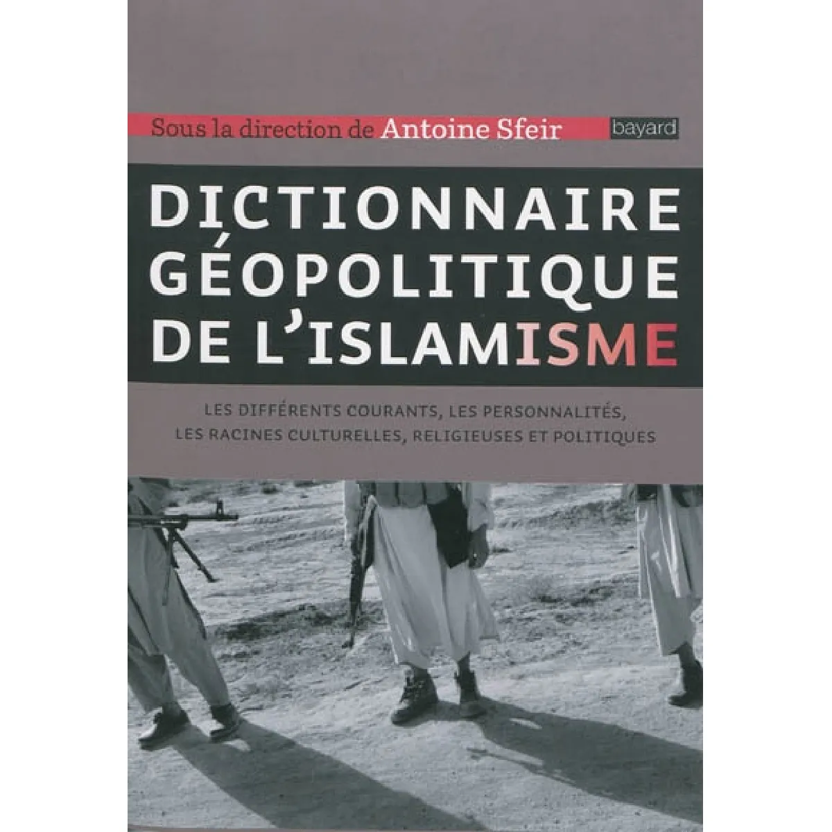 Dictionnaire géopolitique de l'islamisme : les différents courants, les personnalités, les racines culturelles, religieuses et politiques · Occasion