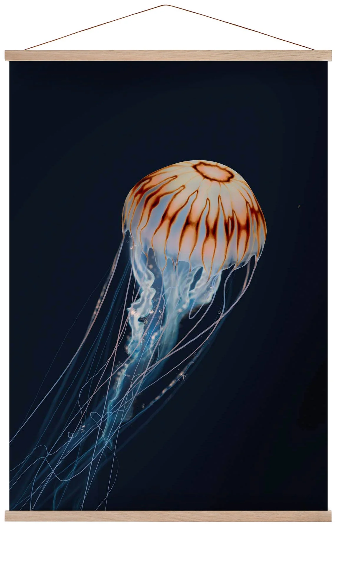Sparkling Horizon Jellyfish von Julia Charlott
