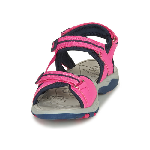 Kangaroos - K-LENI - Rose