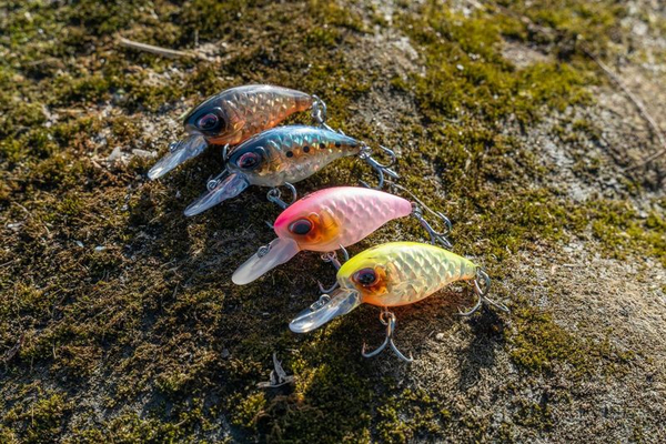 Crankbait Ultimate X-Chunk Shallow 4.3cm (6g)