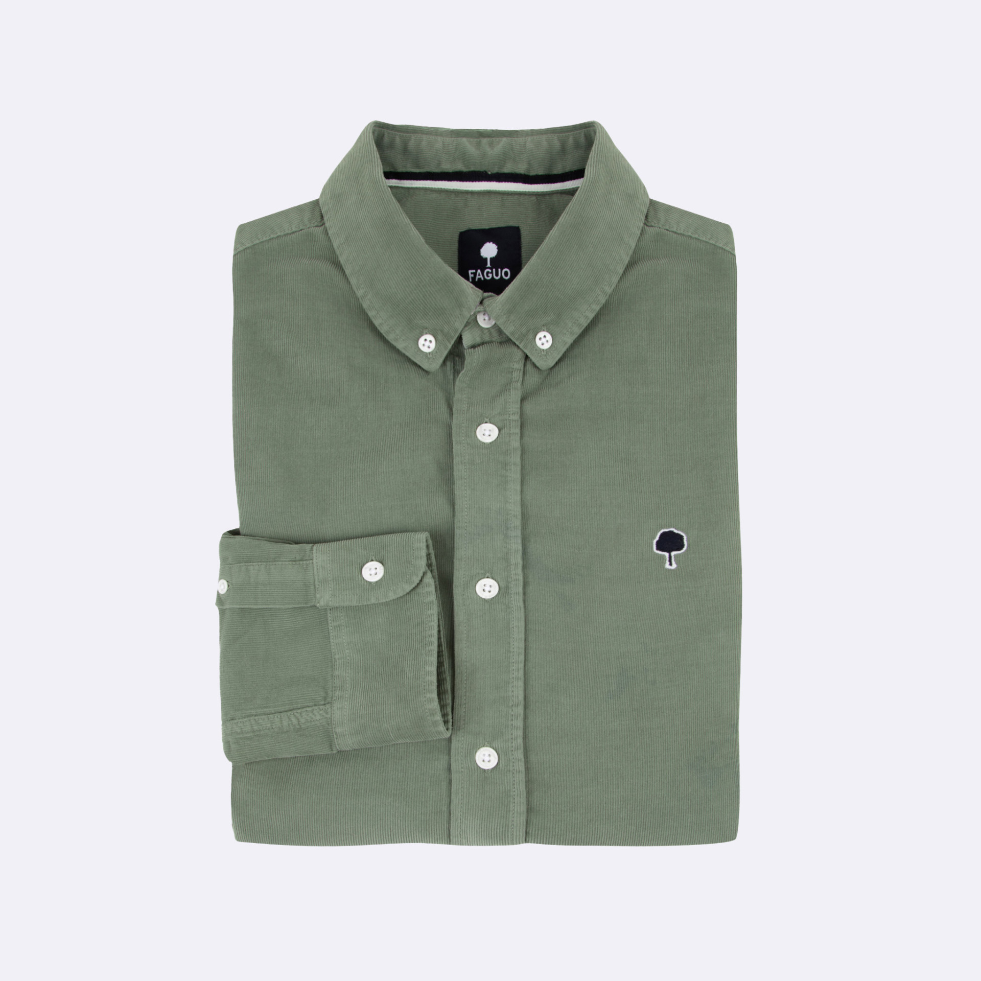 Chemise classique verte coton bio - modèle Ivoy