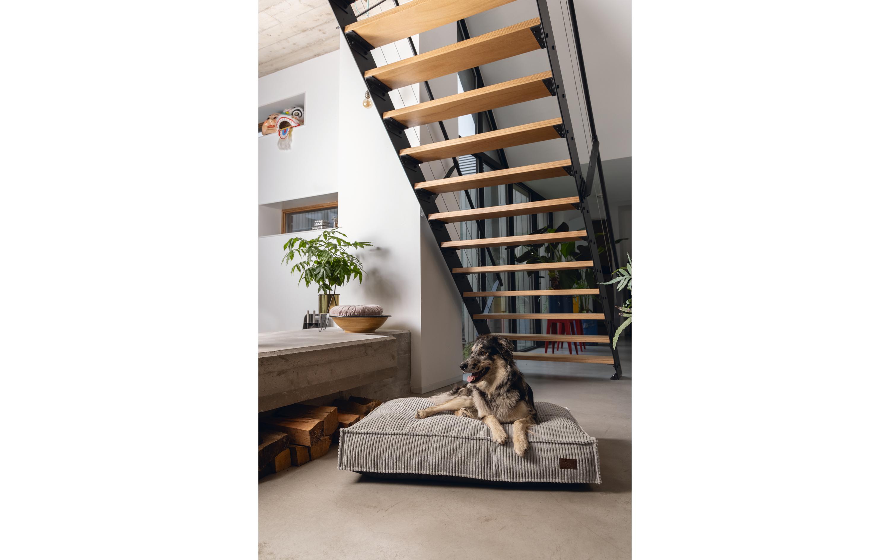 Hunde-Bett Ribbed Hellgrau 70x55X15cmLiegekissen aus geriffeltem Stoff mit Samtfeeling
