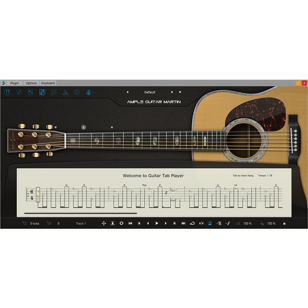 Ample Sound Ample Guitar M III