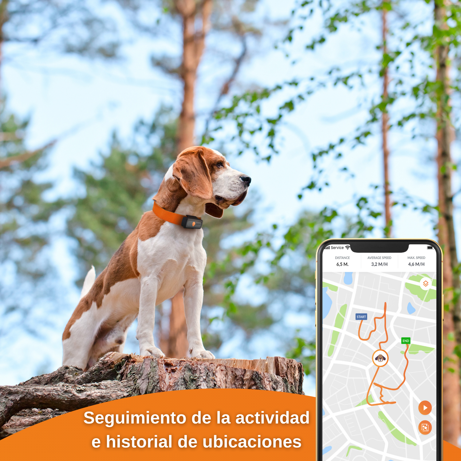 Weenect XS - GPS para cães (Preto)