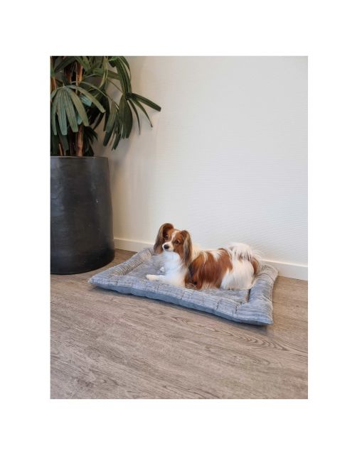 Adori Benchmat Oriana - Hondenbenchkussen - 75x46 cm Grijs