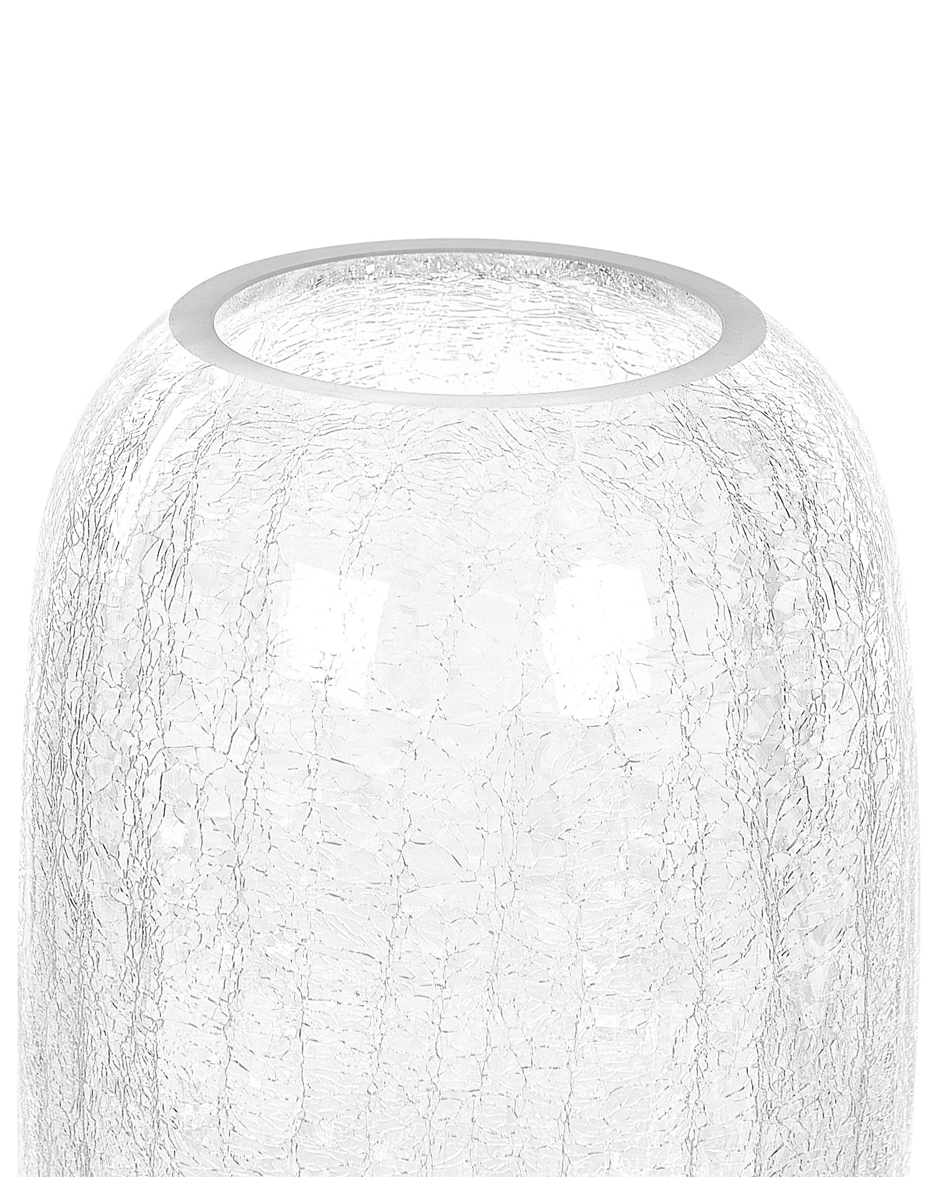Bloemenvaas KYRAKALI Glas 28 cm Transparant
