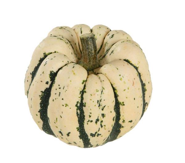 Dehner Gourmet Garten Heart of Gold-Kürbis