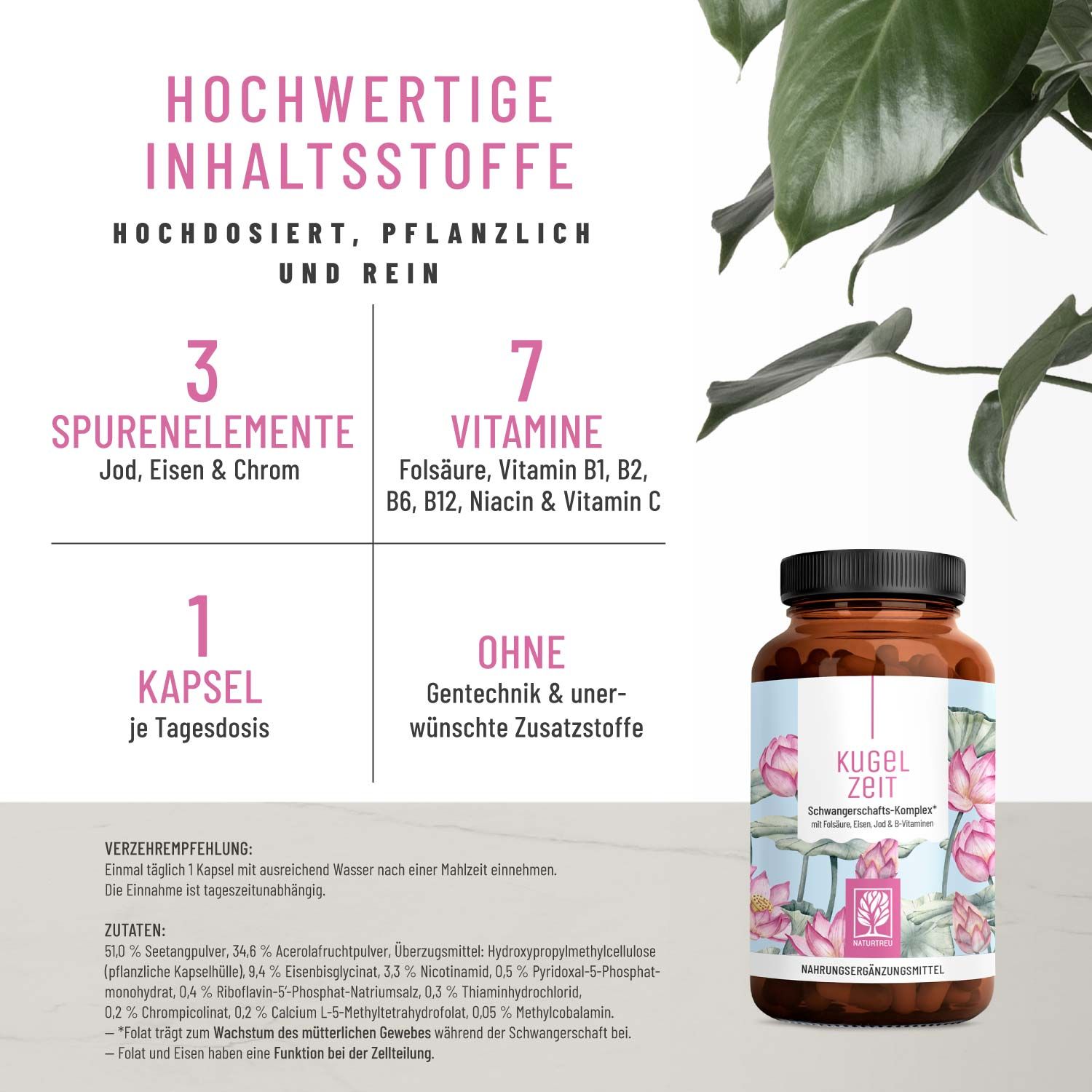 Kugelzeit mit Folsäure, Eisen & Jod - NATURTREU®
