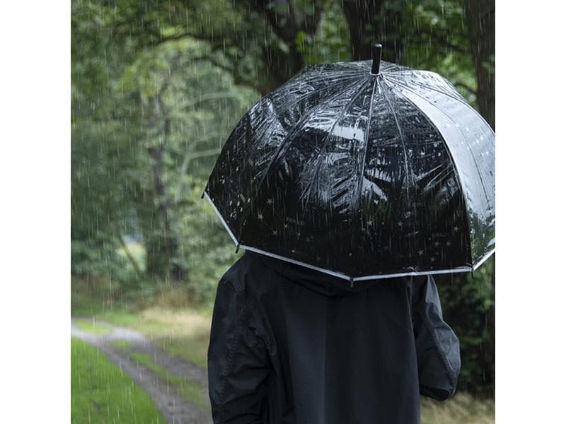 Esschert Design Schirm Sternenhimmel Schwarz/Weiss Regenschirm mit Sternbild