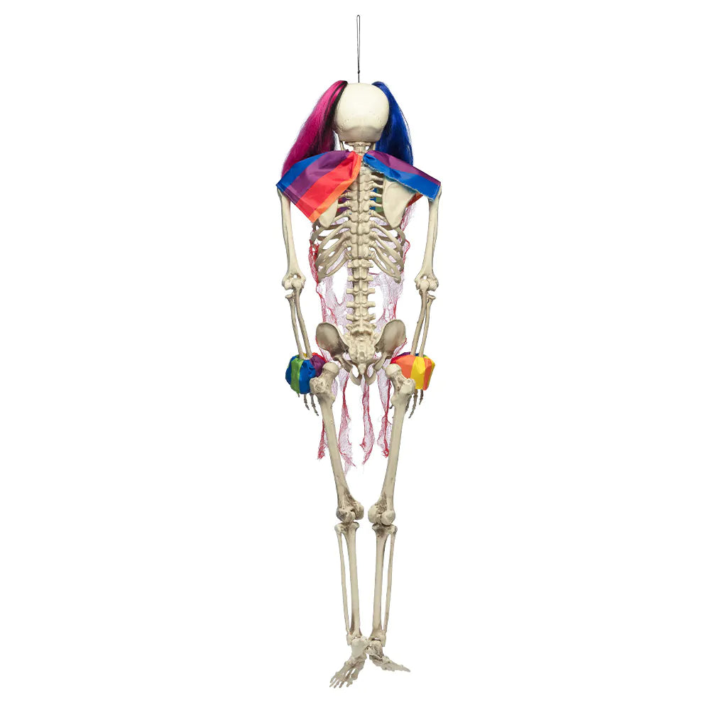 Halloween Skelet Circus