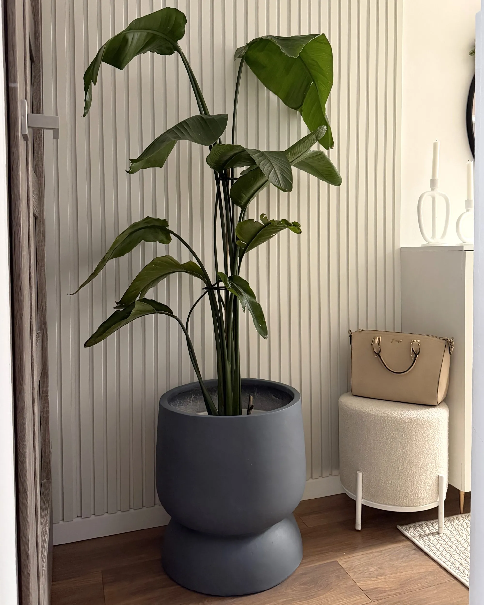 Bloempot ARAUCARIA 42 cm Grijs