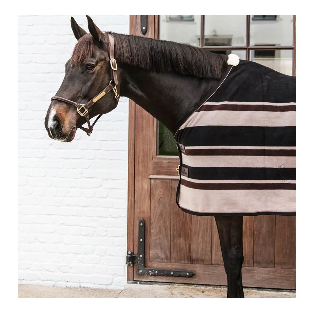 Kentucky HEAVY - Chemise séchante brown beige