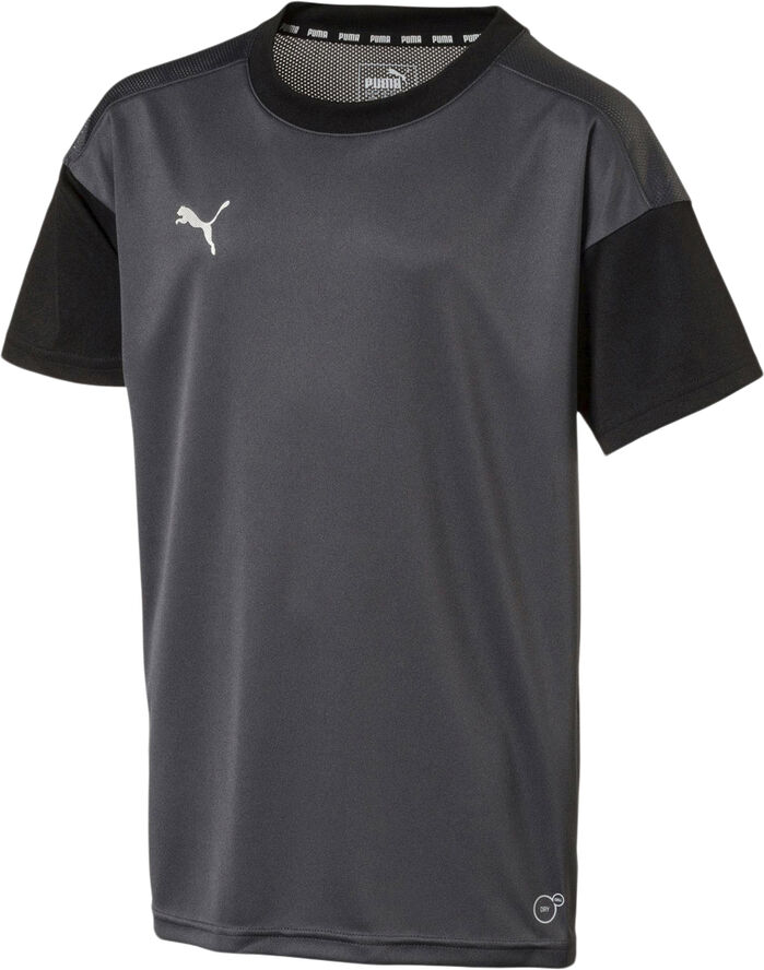 Puma FTB Training T-shirt Grå