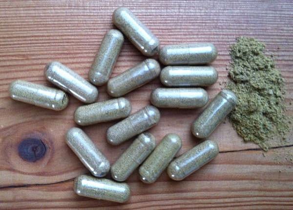 Puur Parasitus Parasiet Balans Hond Kat 60 capsules