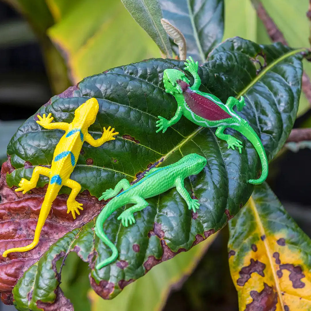 Rex london stretchy gecko - assorti