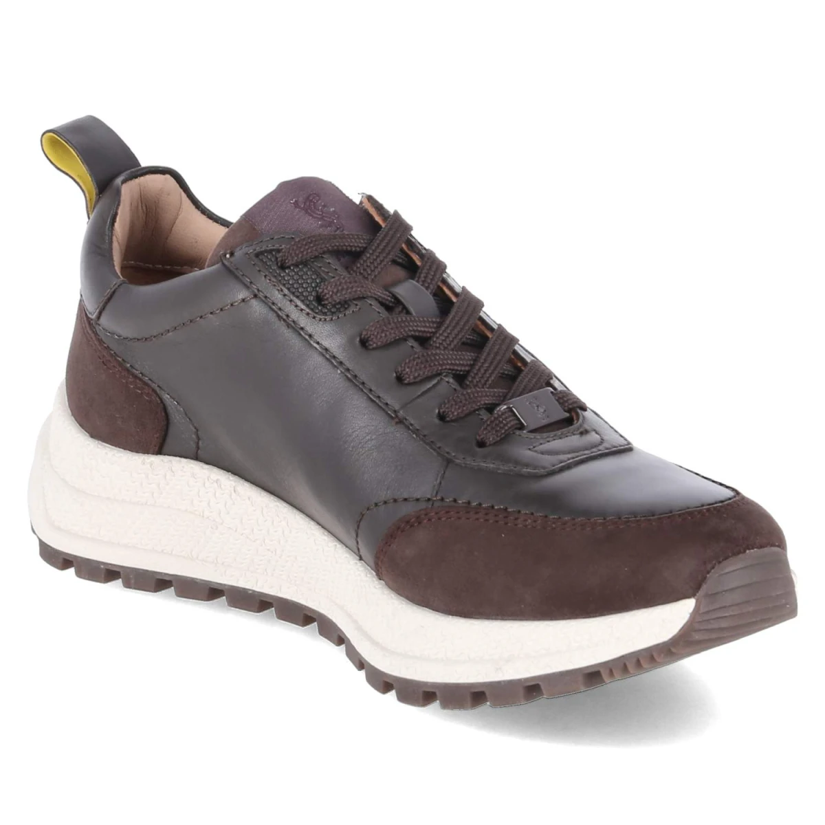 SalamanderLow Sneaker - dark brown / brown