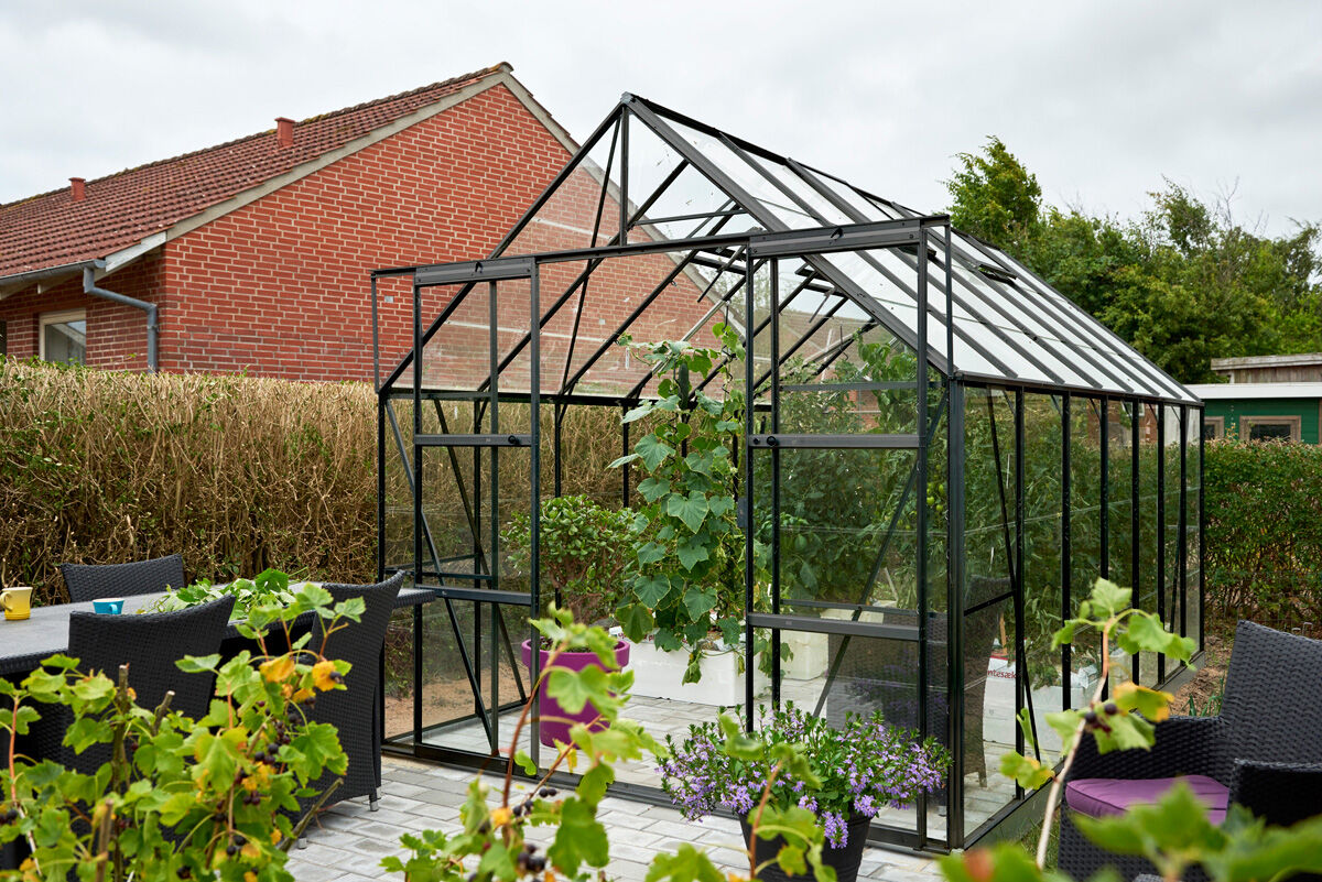 Halls Greenhouses Magnum 148 - Tuinkas - Zwart - 258x257x446 cm - Veiligheidsglas