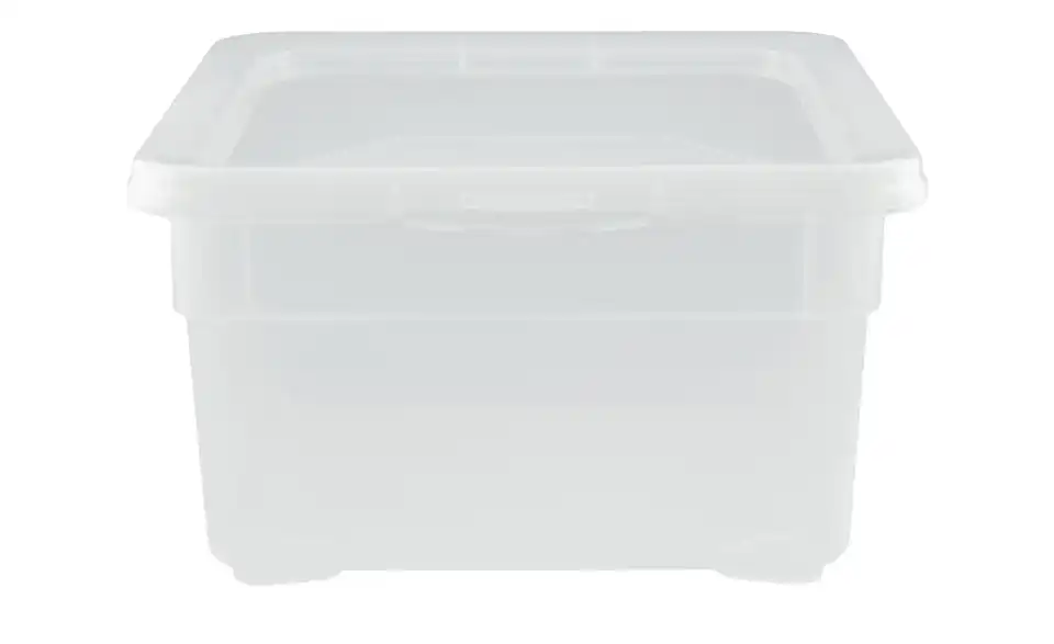 Rotho Aufbewahrungsbox mit Deckel 19 cm