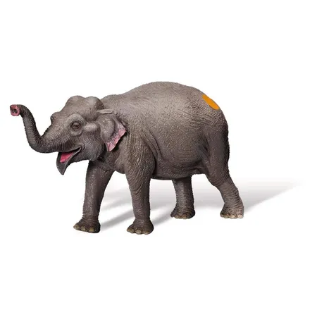 Ravensburger tiptoi 00409 Asiatischer Elefant, Spielfigur