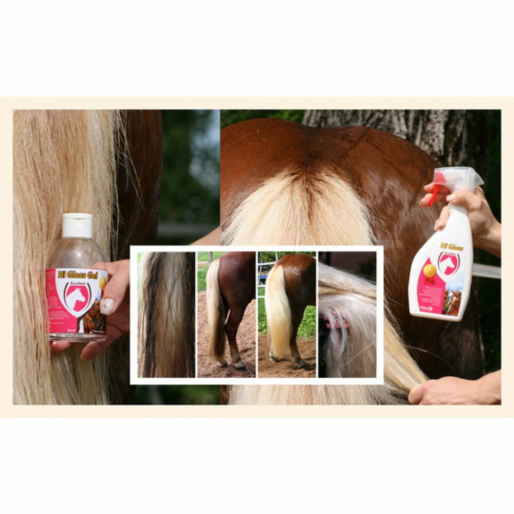 Excellent Hi Gloss Spray 250 ml
