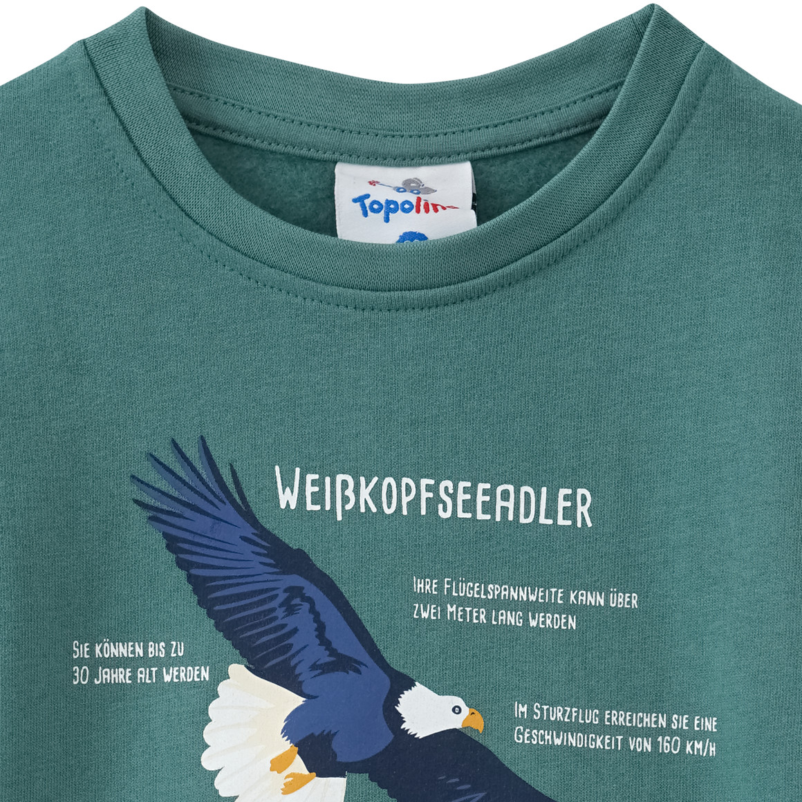 Topolino Kinder Sweatshirt mit Weißkopfseeadler-Motiv dunkelgrün
