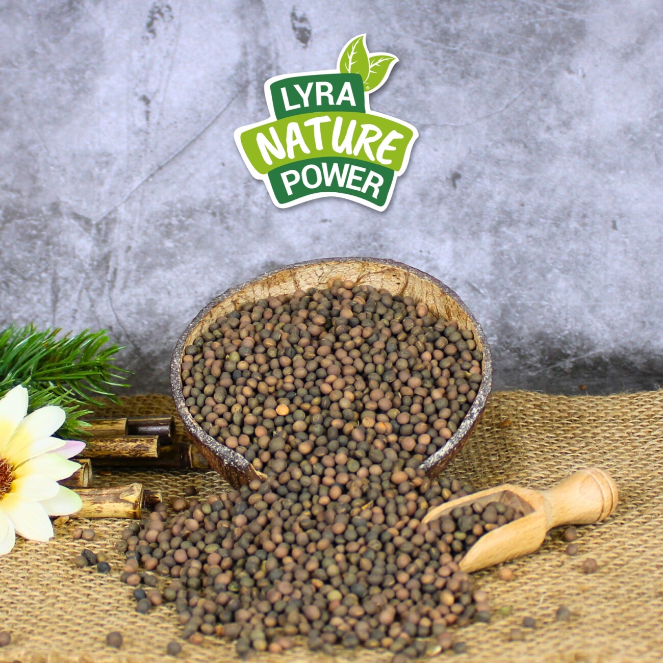 Lyra Pet Wicken 10 kg