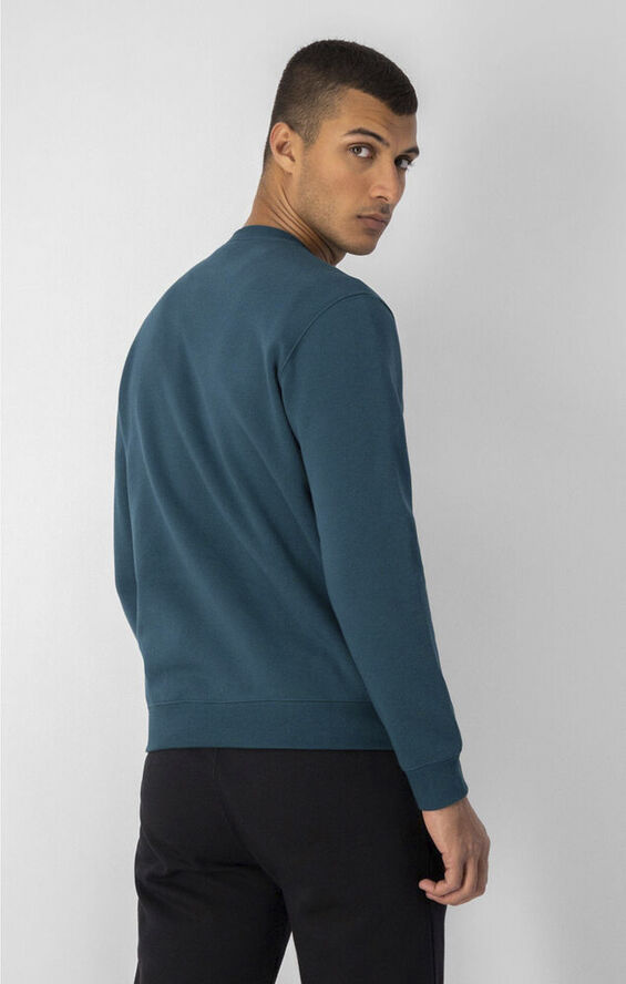 Champion Script Logo Fleece sweatshirt Grøn