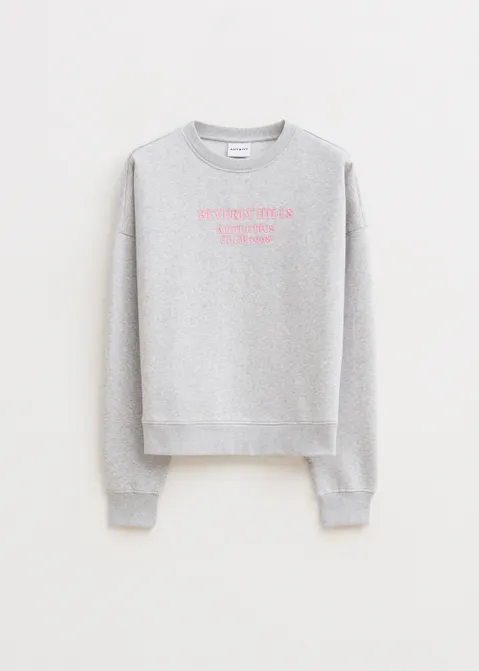 Sweater met print wellness grijs (GRS.LME)
