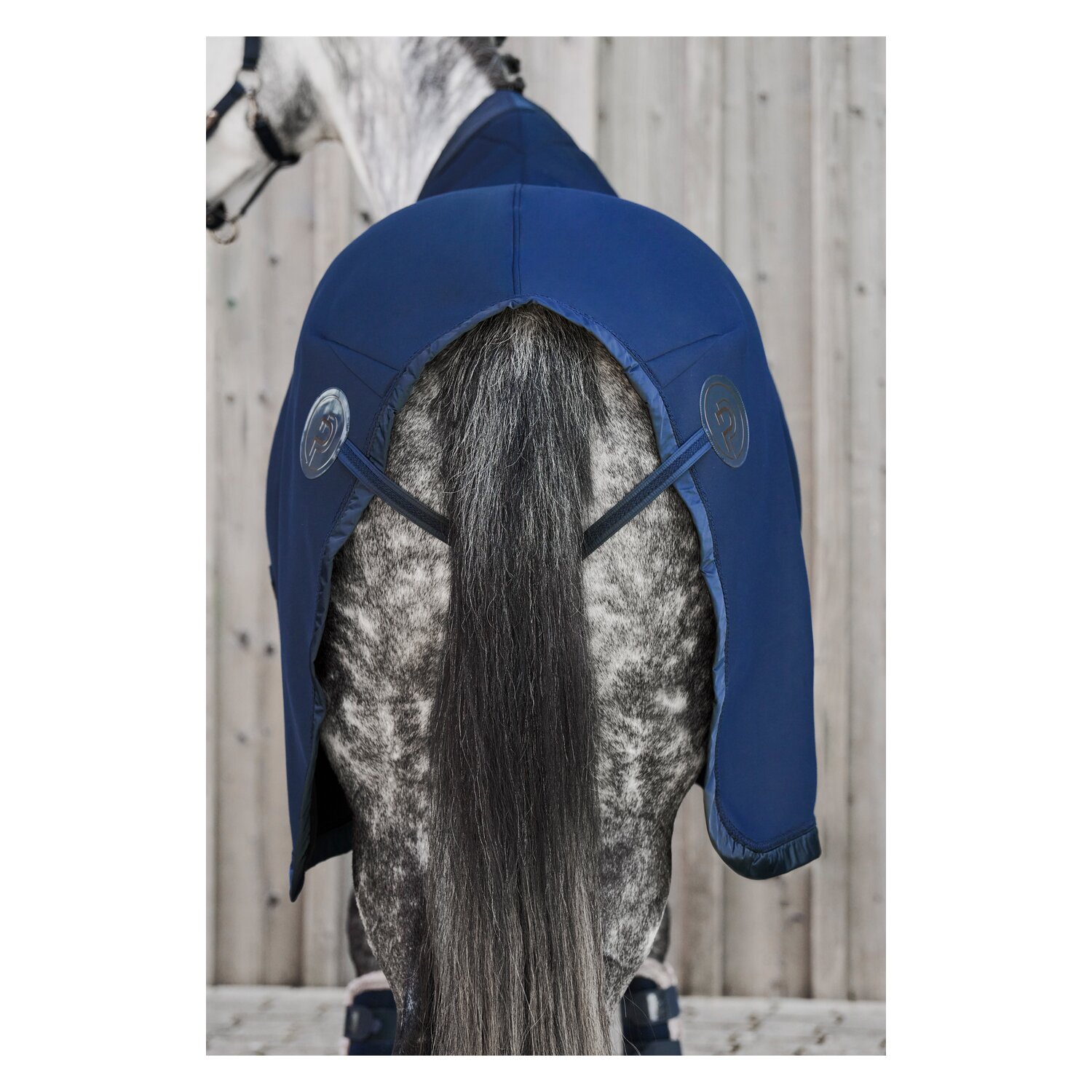 ESKADRON Platinum Abschwitzdecke Jersey Air - atlantic blue