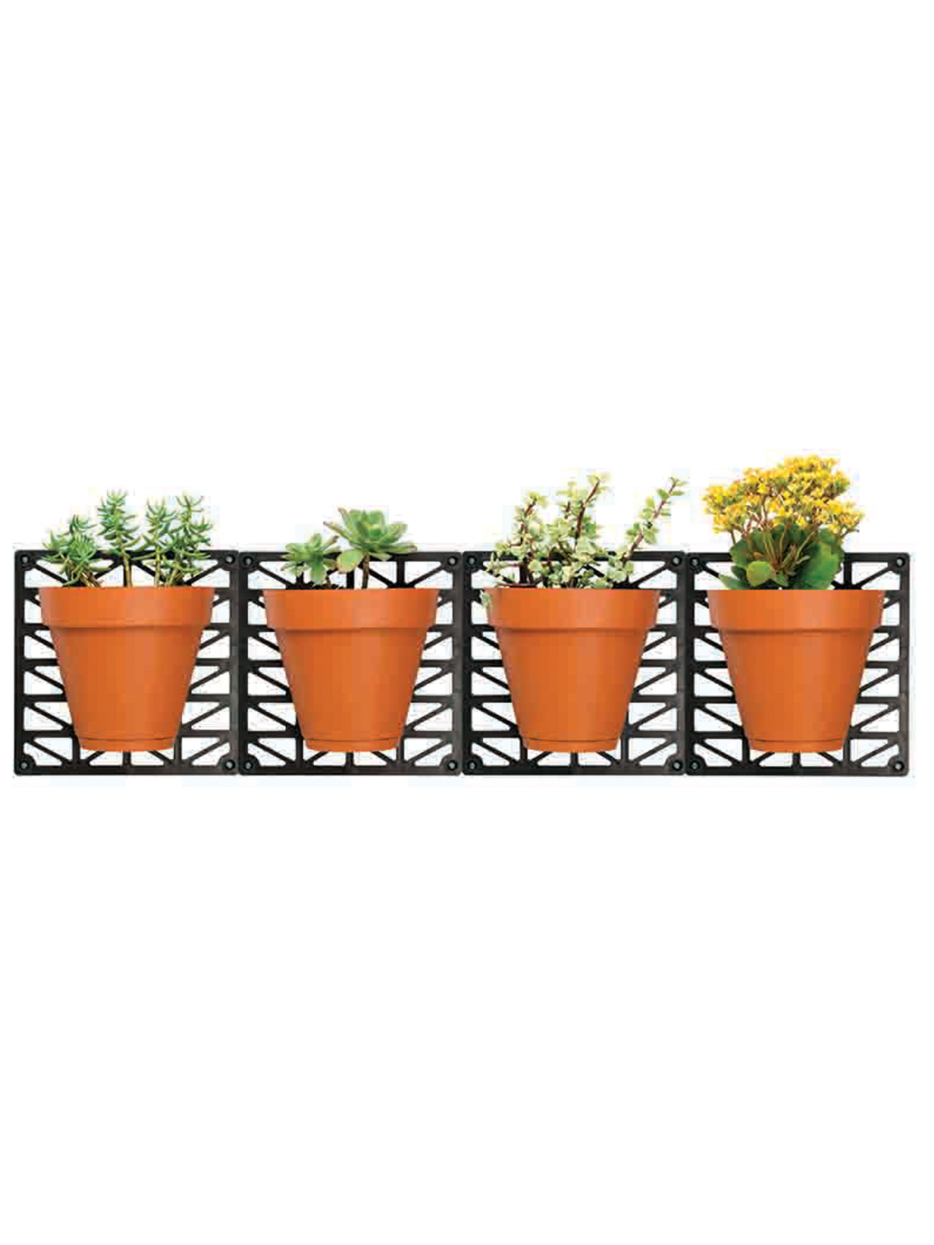 4 pots avec support mural