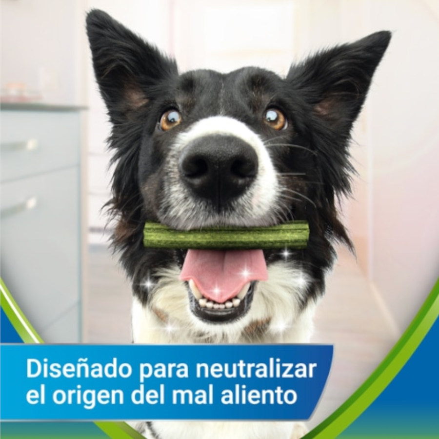 Dentalife Small ActivFresh Petiscos Dentais para Cães