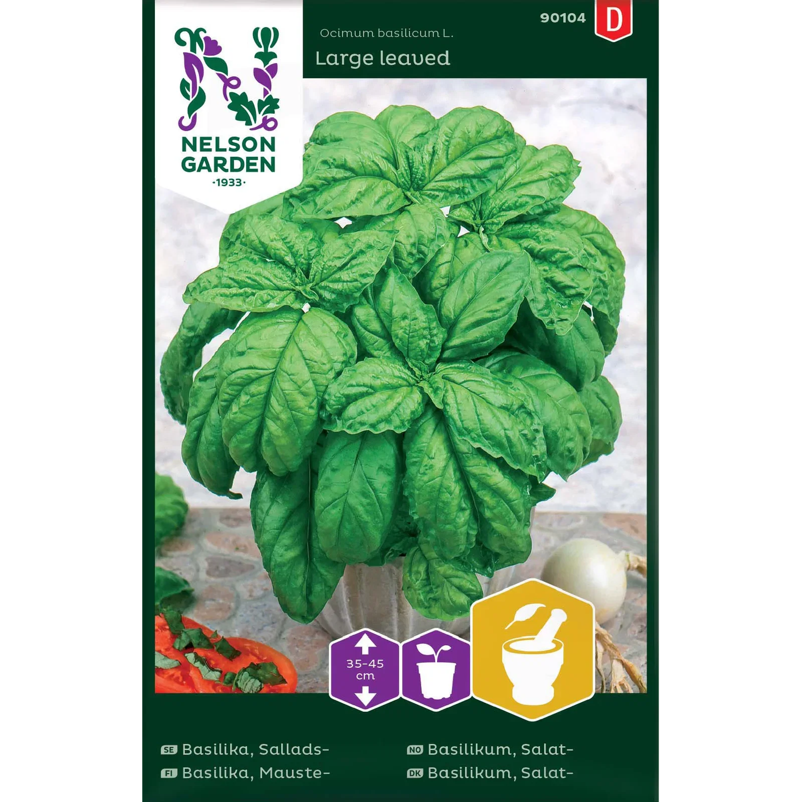 Ocimum basilicum Salatbasilikum Large leaved