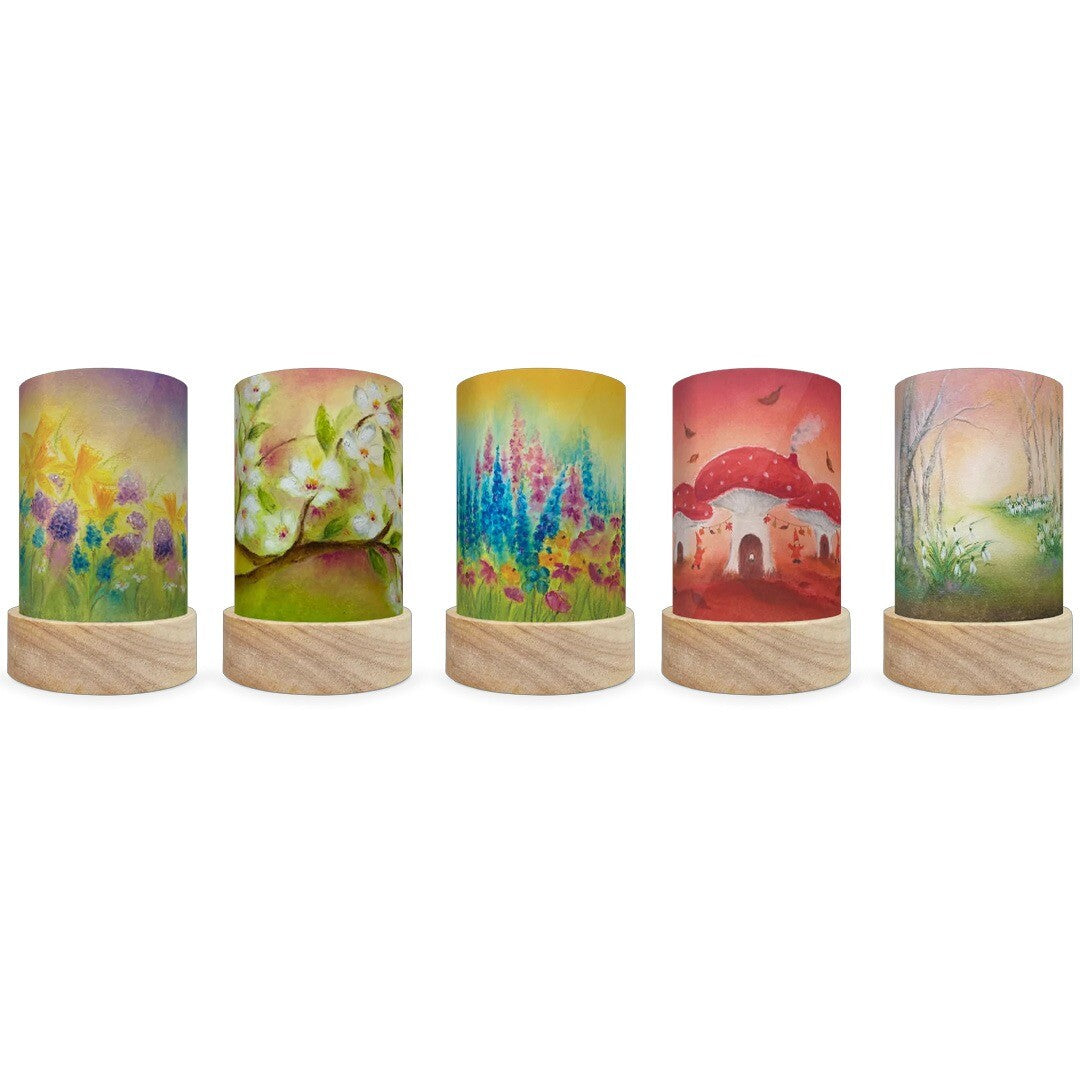 Toverlux lichtkaarten voor lantaarn seasons - 5st